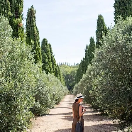 Seigneurie De Peyrat Pezenas