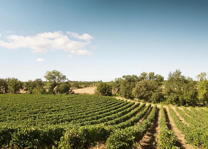 Bed & Breakfast Seigneurie De Peyrat 4*