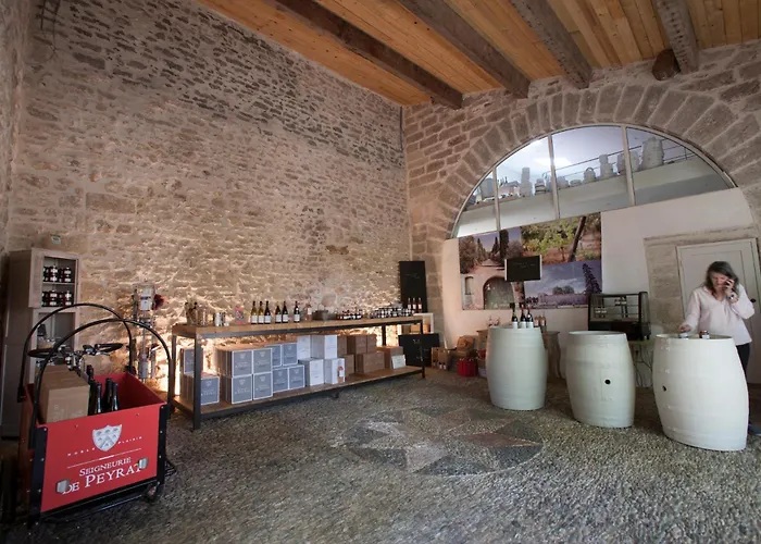Seigneurie De Peyrat Bed & Breakfast 4*