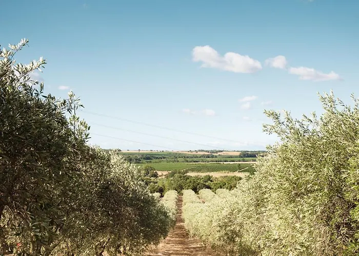 Bed & Breakfast Seigneurie De Peyrat